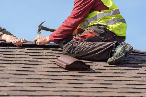 Best Metal Roofing Contractor  in Macon, MO