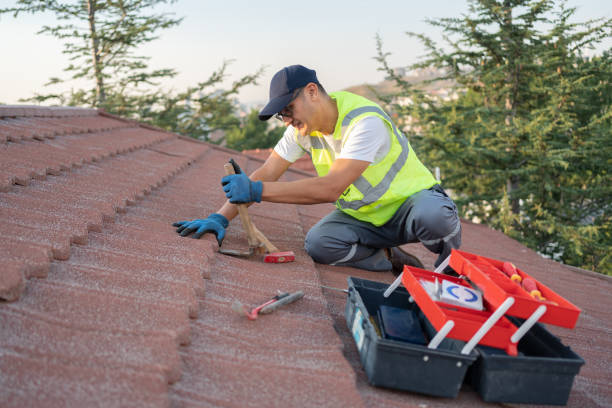 Best Storm Damage Roof Repair  in Macon, MO