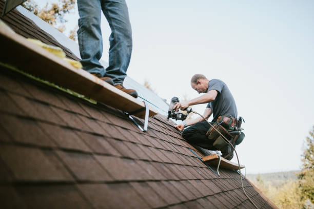 Roof Gutter Cleaning in Macon, MO